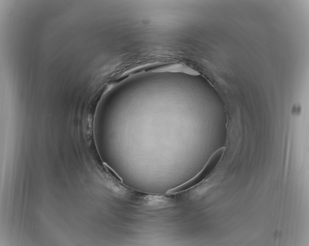 X0000090430528200707272134