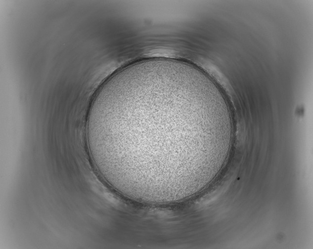 X0000090430529200707272134