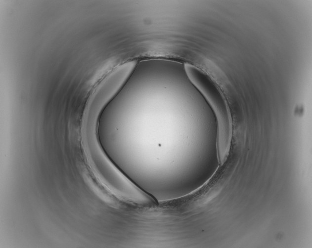 X0000090430530200707272134