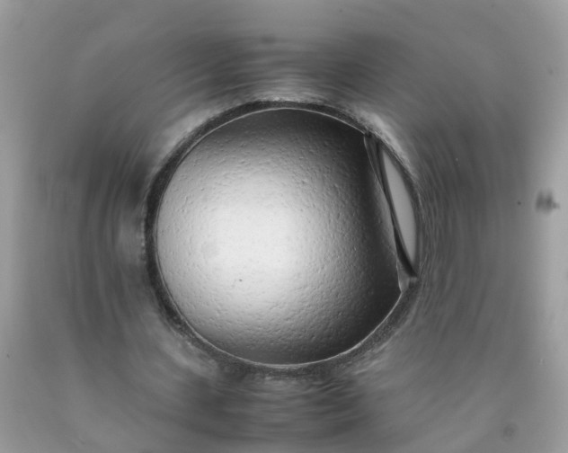 X0000090430531200707272134