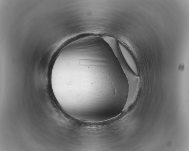 X0000090430532200707272134