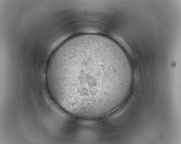 X0000090430533200707272134