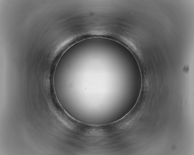 X0000090430535200707272134