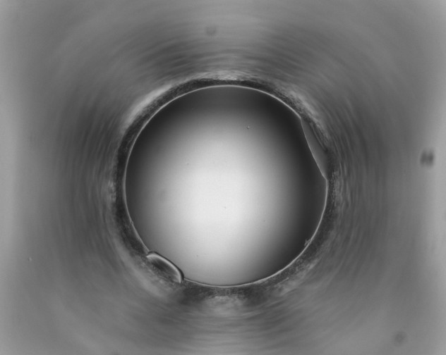 X0000090430536200707272134