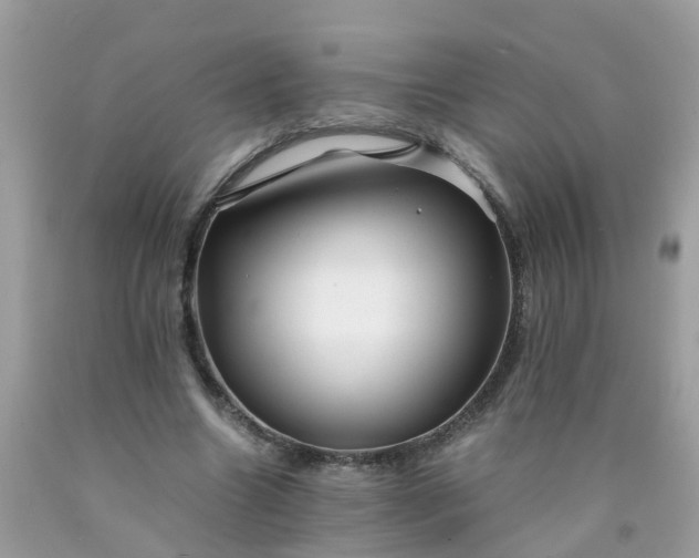 X0000090430538200707272134