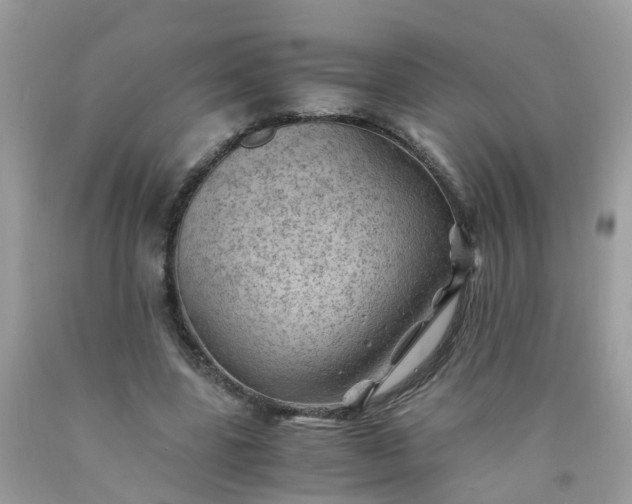 X0000090430539200707272134