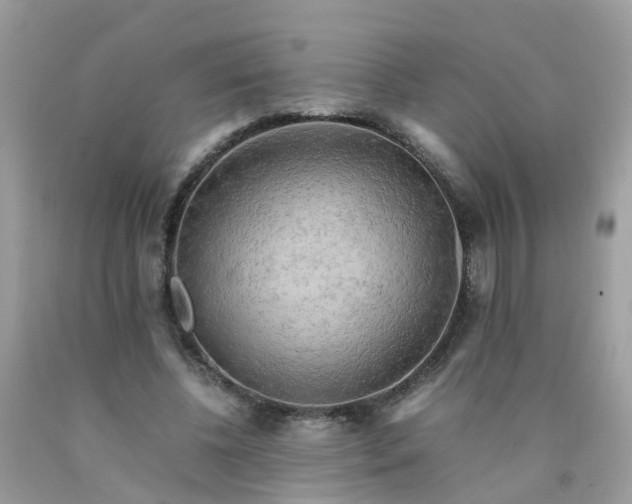 X0000090430540200707272134