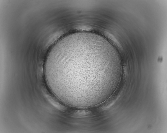 X0000090430541200707272134