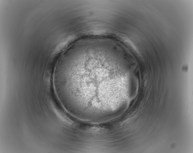 X0000090430542200707272134