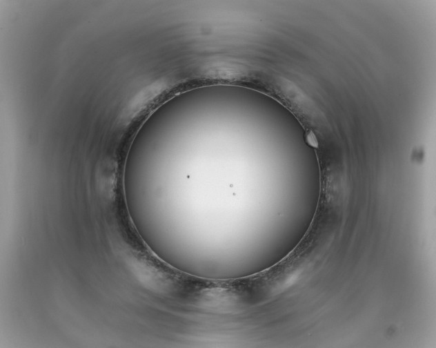 X0000090430544200707272134