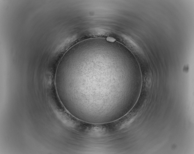 X0000090430546200707272134