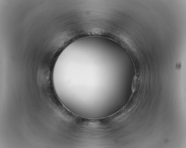 X0000090430548200707272134