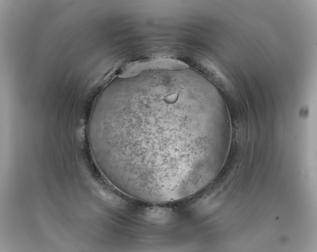 X0000090430549200707272134