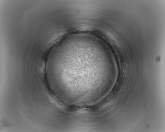 X0000090430550200707272134