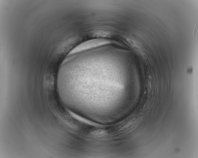 X0000090430551200707272134