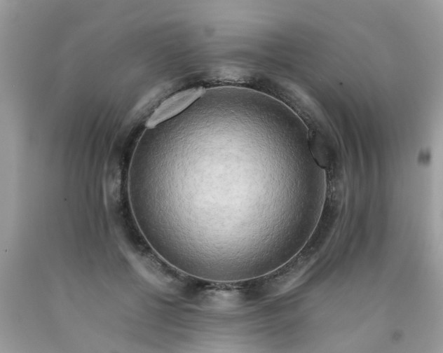 X0000090430552200707272134