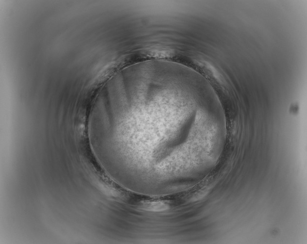 X0000090430553200707272134