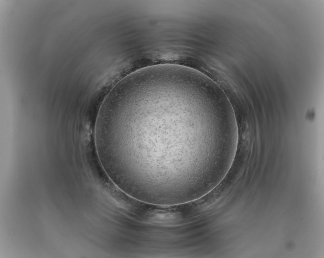 X0000090430555200707272134