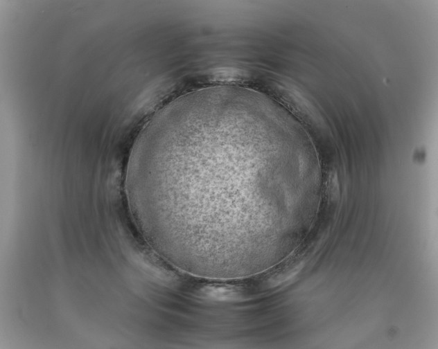 X0000090430557200707272134