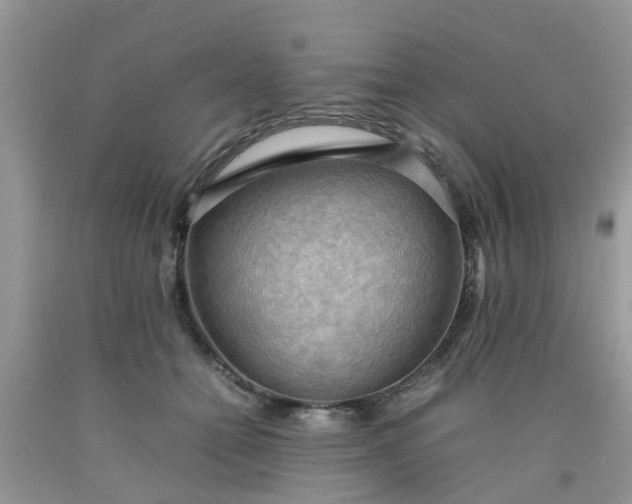 X0000090430558200707272134