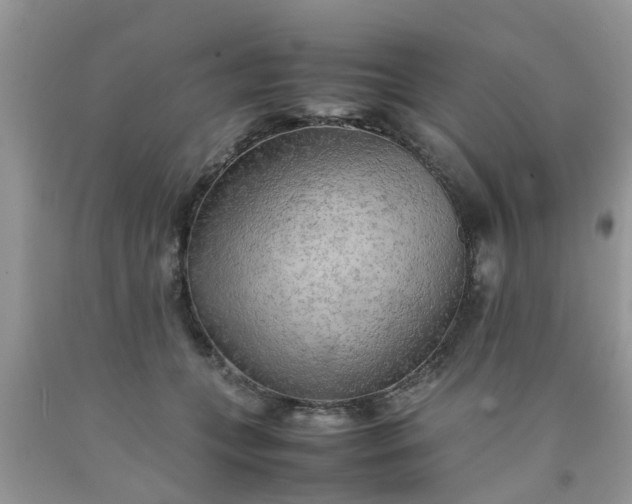 X0000090430559200707272134