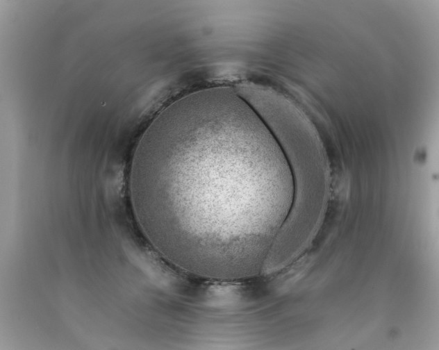 X0000090430560200707272134