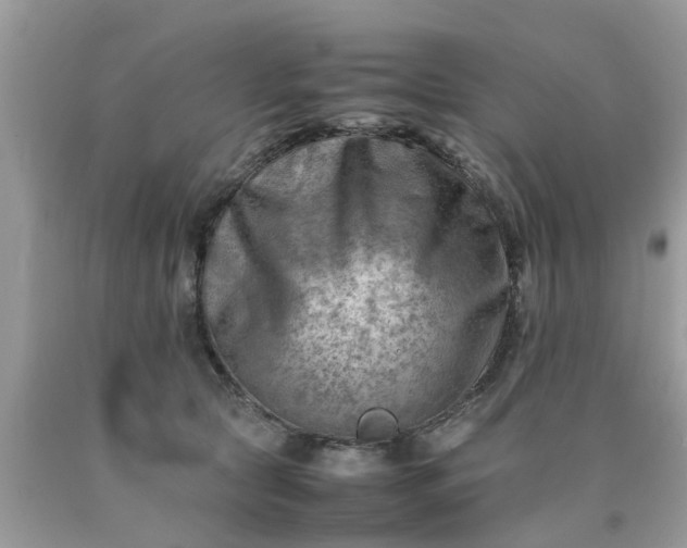 X0000090430561200707272134