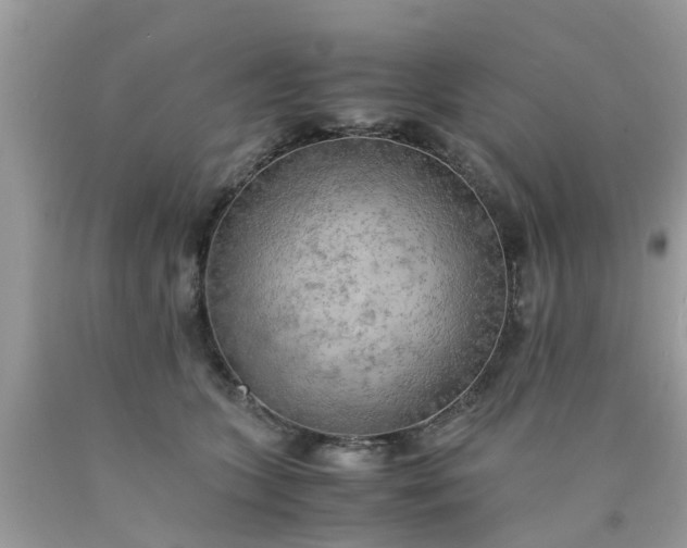 X0000090430563200707272134