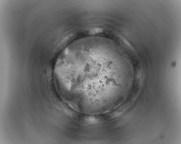 X0000090430565200707272134