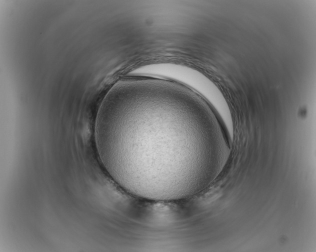 X0000090430566200707272134