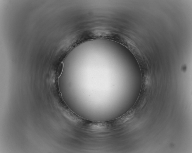 X0000090430567200707272134