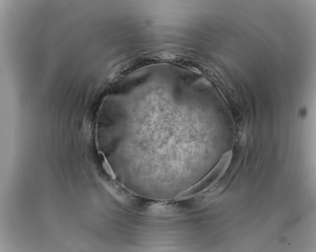 X0000090430568200707272134