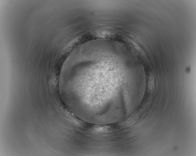 X0000090430569200707272134