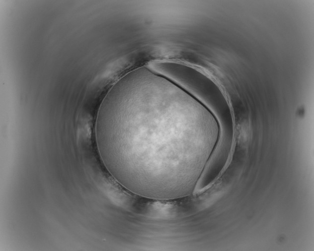 X0000090430570200707272134