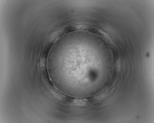 X0000090430571200707272134