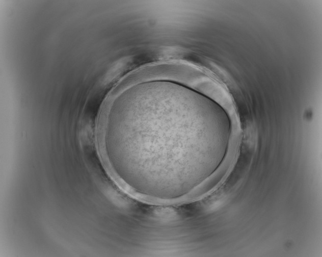 X0000090430572200707272134