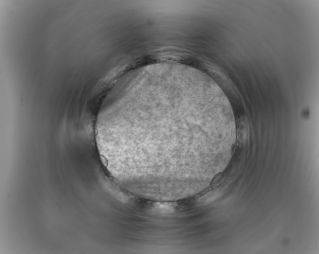 X0000090430573200707272134