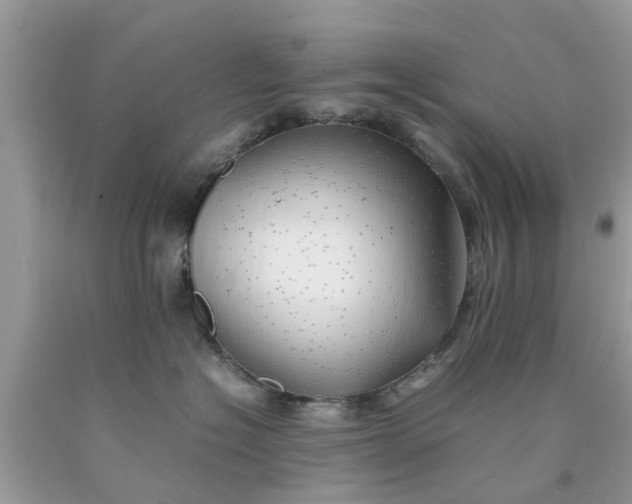 X0000090430574200707272134