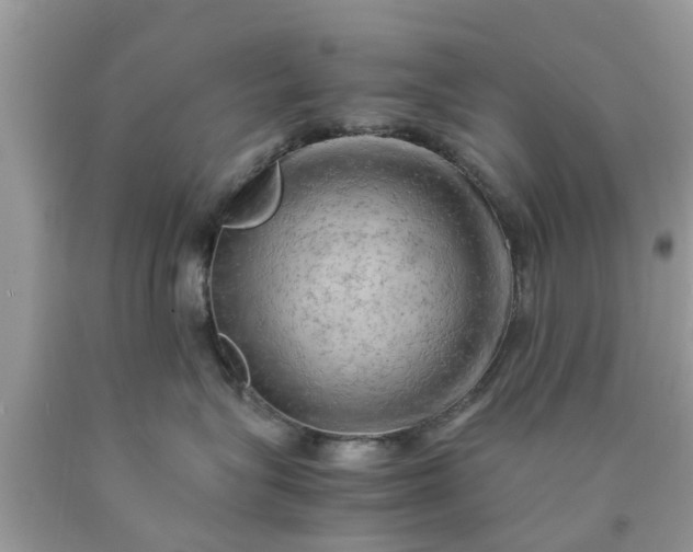 X0000090430575200707272134