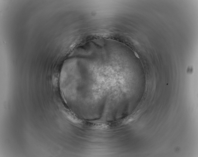 X0000090430576200707272134