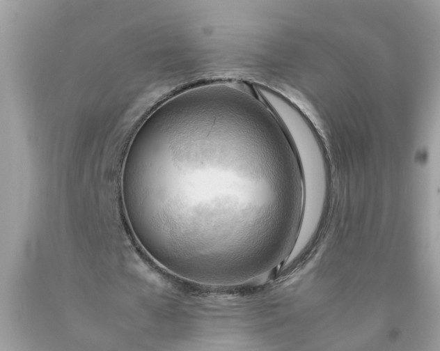 X0000090430577200707272134