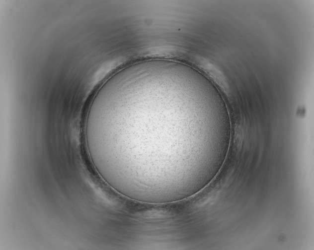 X0000090430578200707272133