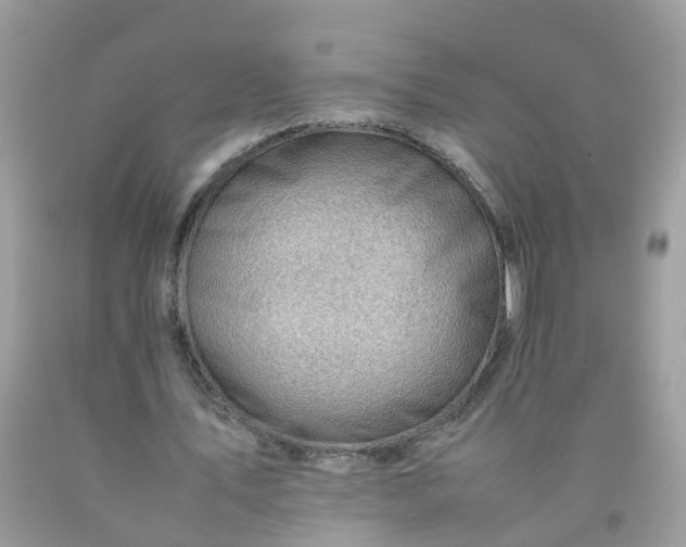 X0000090430579200707272133