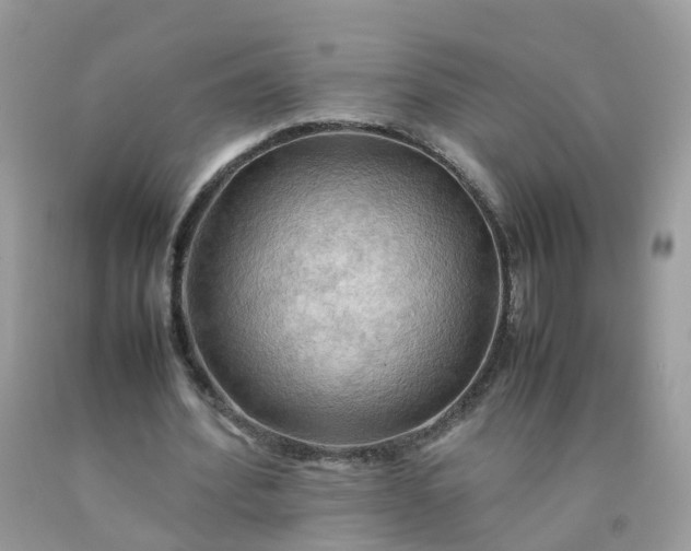 X0000090430580200707272133