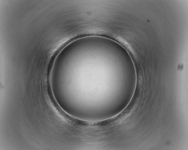 X0000090430581200707272133