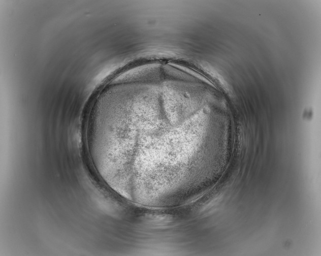 X0000090430582200707272133