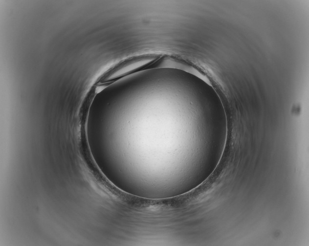 X0000090430584200707272133