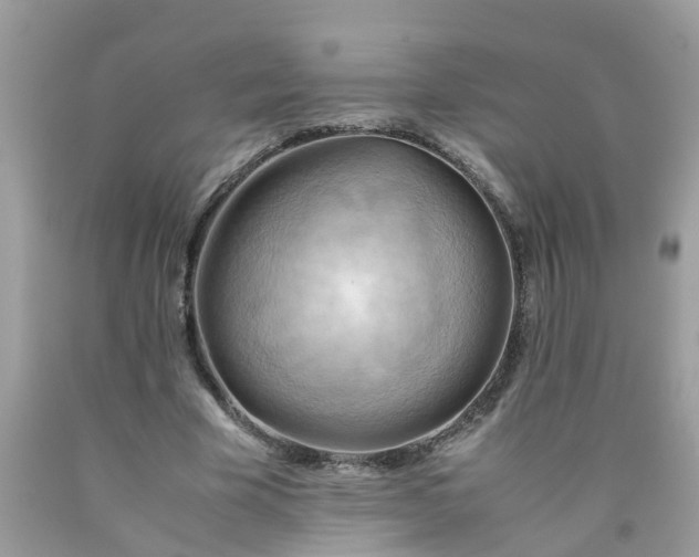 X0000090430585200707272133