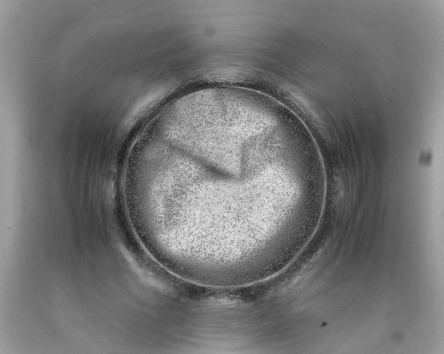 X0000090430586200707272133