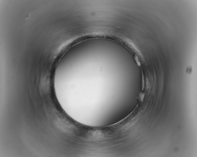 X0000090430588200707272133